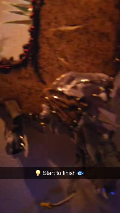 Delores and danny just got hitched!