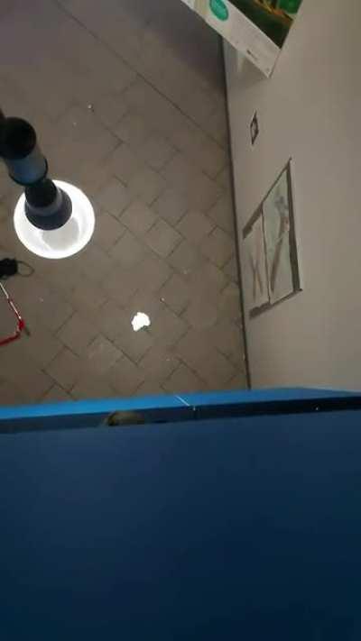 Me and my friends throwing BIG piece of Plaster from 3rd floor