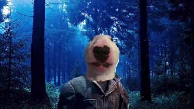 POV: You’re a Rank 20 Survivor