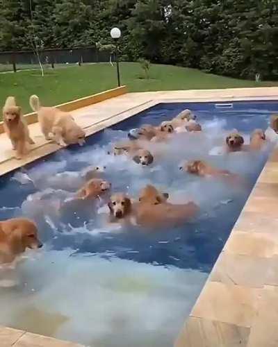 Бассейн полный золота)))