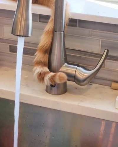 I finally figured out why my water bill has been more expensive recently.