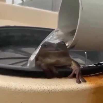 Apenas felicidade🐸