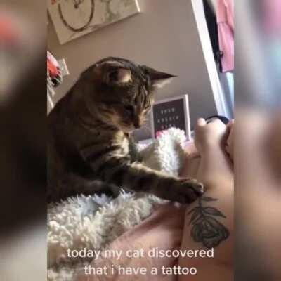 This rose is squishy