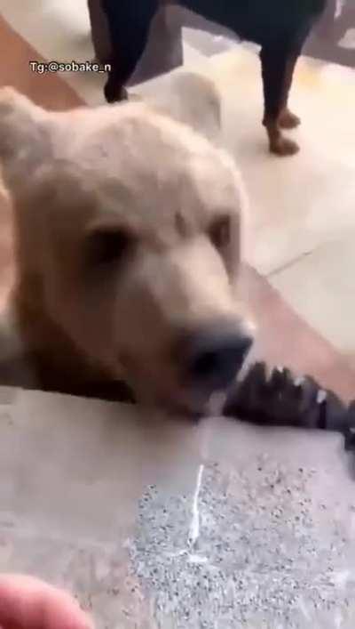 Mom I have a new friend