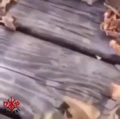 puta diko na alam kung ano na nangyayari