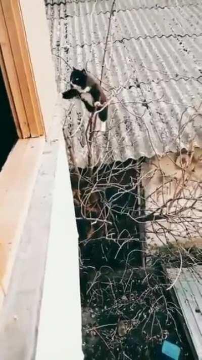 Mission must be accomplished