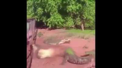 YOU BIT HIS FUCKIN ARM OFF