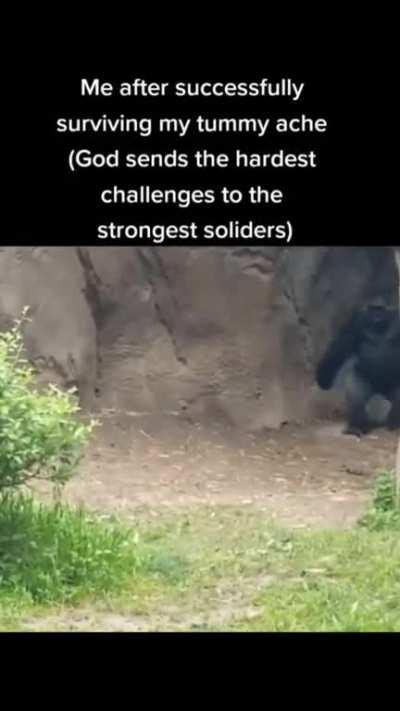 Instantly thought of Nogla