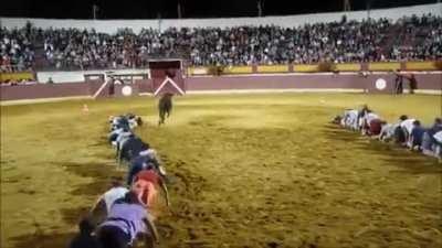 Red Light, Green Light!