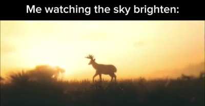 real (time to go to bed broslings)