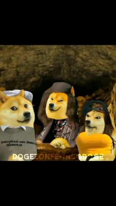 phale bat hi sun letai 🗿🗿