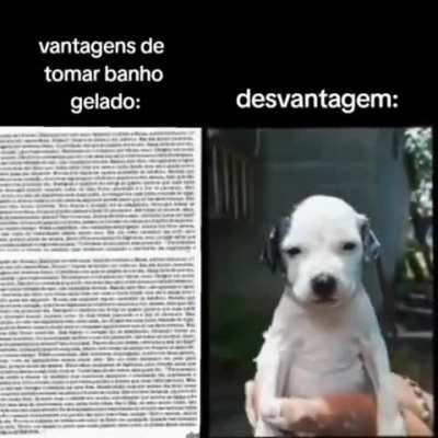 kkkkkkkkkkkk bem assim 