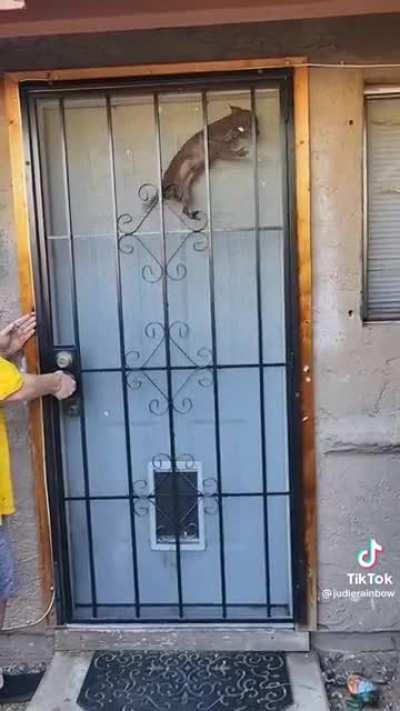 Where do you think you’re going, Ripley??