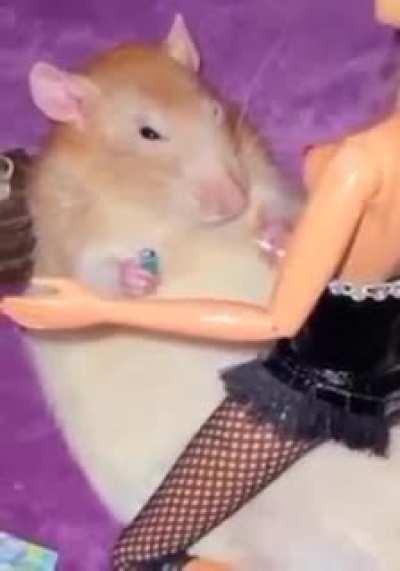 da rat be super fresh doe