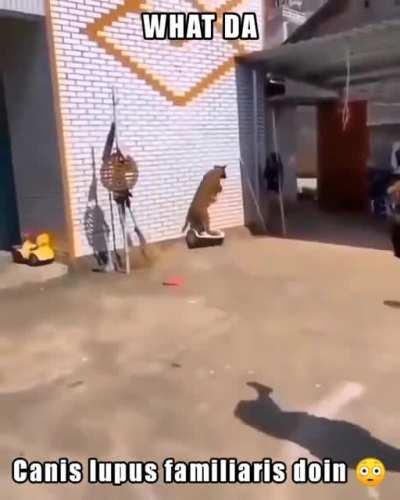 He riding the scooter 😳🏃🛵😋🤣🥳😟