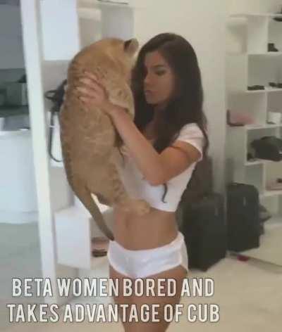 Sigma cub mindset 💪💪💪💵💵