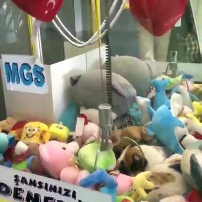 Cat in the claw machine