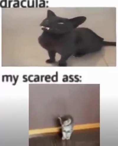 Wunk Stoker's Wunkula (1992) Featuring Keanu Wunk and Gary Wunkman