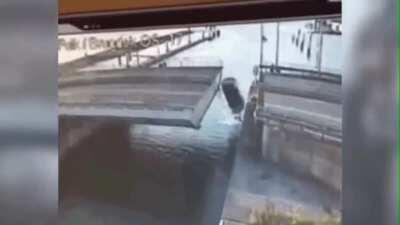 Person tries to cross a bridge as its closing