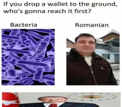 I finally have an answer