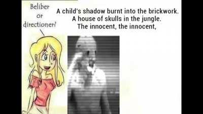 beliber or one directioner...