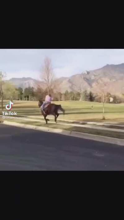 HMFT after I gallop into a freaking post