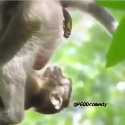 NOOOOOOO ALFONSO CUIDADO