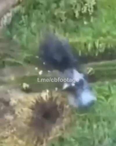 Reccognition only: Russian soldier takes a direct hit from an Ukrainian ATGM or SPG-9. Ukraine Mid June 2023 - maybe my last post because i am not with the new rules