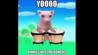 bingus wit the bongos (made by me)