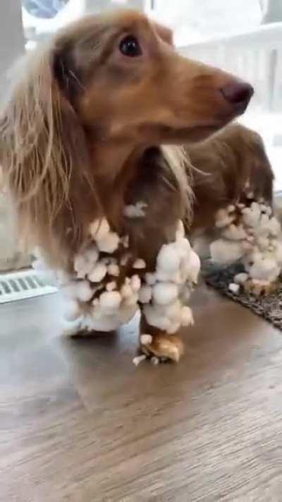 Ein bisschen im Schnee spielen