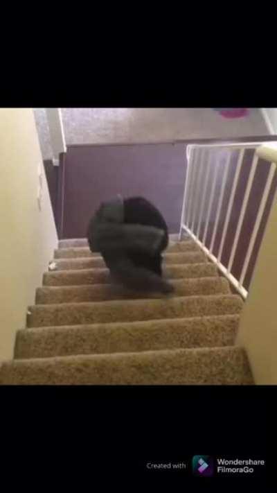 Pizza, Ice, Salt (first try)