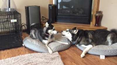 Both of them made valid arguments supported by facts.