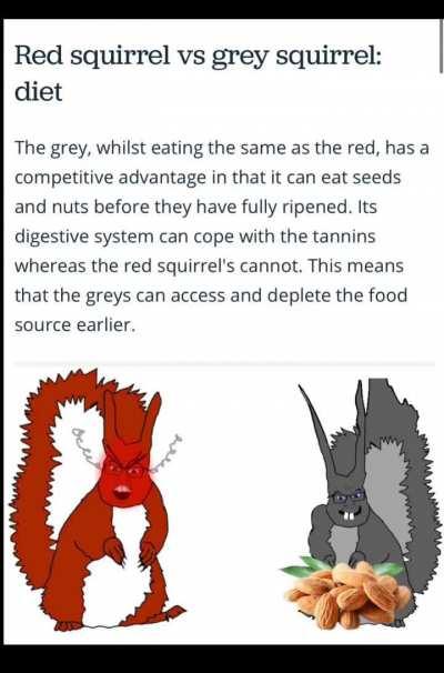 England has fallen. Billions must brexit