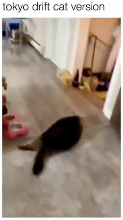 It's a Toyota CATolla