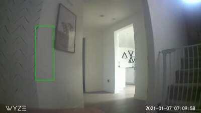 All I wanted to do was take the dogs out, on a beautiful, quiet, and peaceful morning.