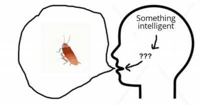 Oh yeah what was i thinking about