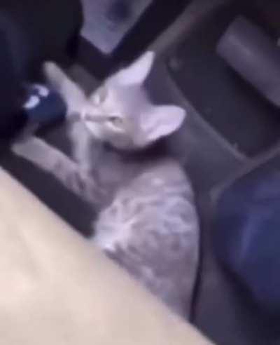 Who’s driving that damn thing?💀