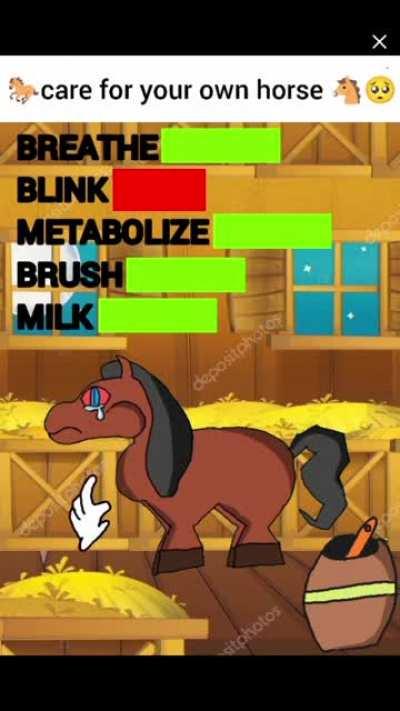 whats this horses problem