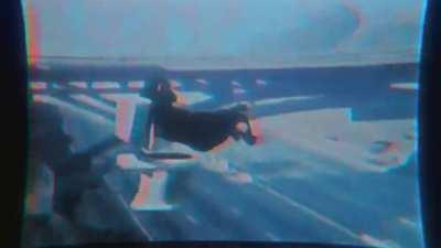 monkey on toliet does a flip but its edited like a montage