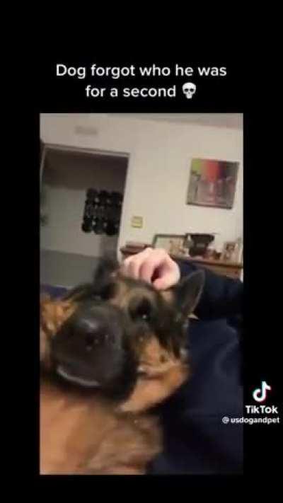 Can someone explain what just happened