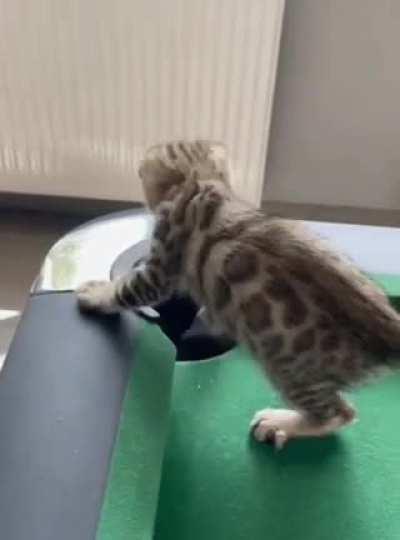 😯 is a professional player