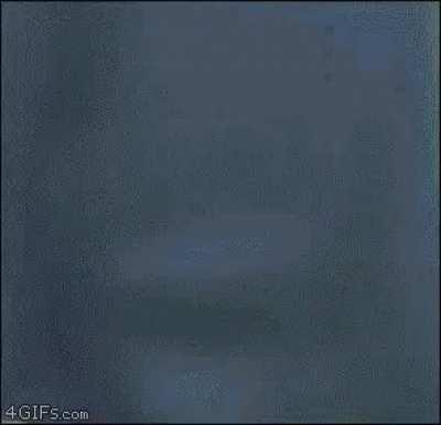 Go to the zoo they said. It’ll be fun they said.