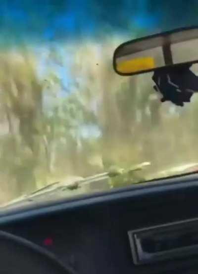 I am not worthy of questioning the divine plan of God's holy elixir for i am a mere vessel for his will.