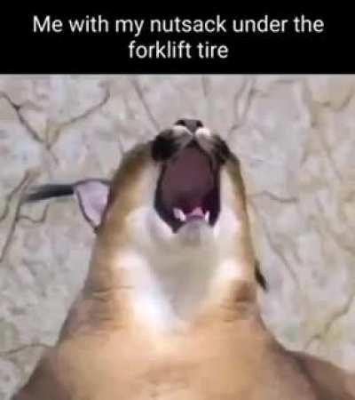 Had this in my folder so I posted it