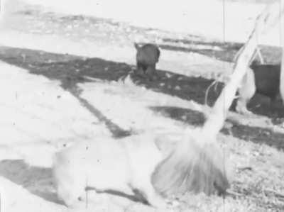 An archivist found a long forgotten 8mm film reel in an old metal box, marked 