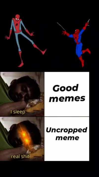 How my meme became real shit...