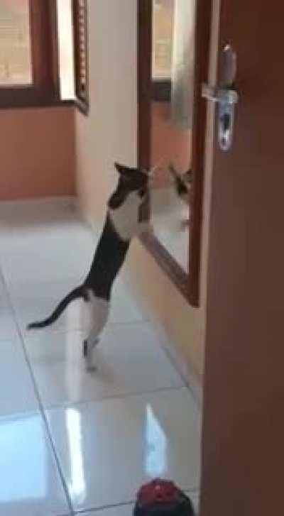 He wants to play with himself