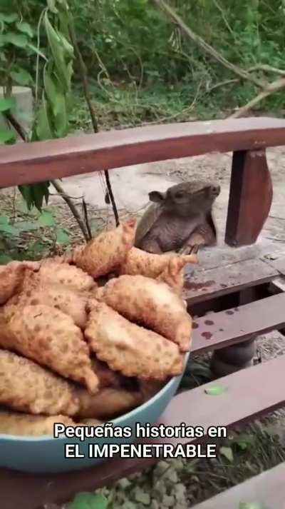 Una mulita quería una empanada.