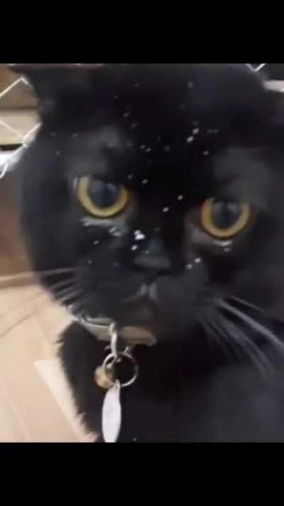 Do you have to drink like this?