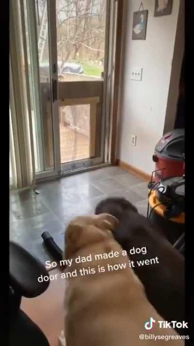 Homemade dog door